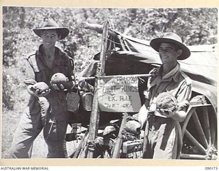 DAGUA, NEW GUINEA. 1945-03-30. PRIVATE J.C. VASSEL (1), AND PRIVATE J. GRAINGER (2), 2/2ND INFANTRY BATTALION, HOLDING FRUIT OUTSIDE THEIR "DOOVER" WHICH THEY ERECTED IN AN OLD ABANDONED JAPANESE ..