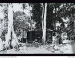 Goodenough Island, D'Entrecasteaux Islands, Papua, 1944. The hut occupied by the Photography Section at the Headquarters of No. 71 Wing RAAF. The sign on the tree at left reads: "Photographic ..