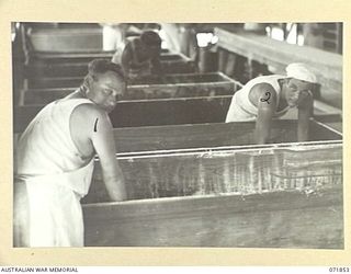 LAE, NEW GUINEA. 1944-03-30. N166995 CORPORAL C. A. WALLIN (LEFT), WITH SX32498 PRIVATE K. F. HALLION (RIGHT), MIXING BREAD DOUGH IN TROUGHS AT THE BAKERY OF THE 8TH FIELD BAKING PLATOON