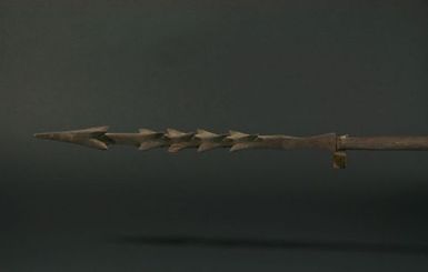 Spear