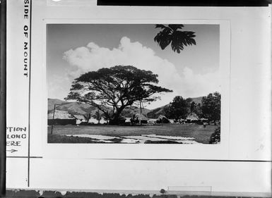 Fiji, showing huts and recreational area