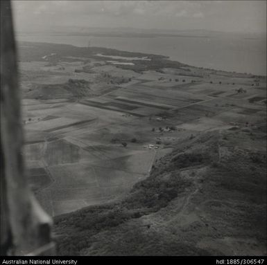 Aerial views of fields and crops