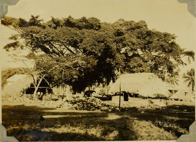 Traditional houses on an island street in the Ha'apai Group, 1928