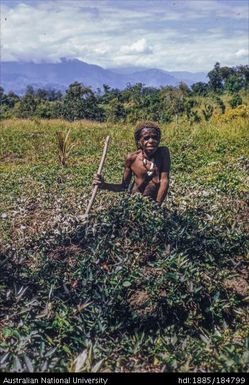 Banz-Minj - woman with digging stick