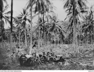 GODOWA, NEW GUINEA. 1943-11-05. TROOPS OF THE 2.6TH AUSTRALIAN FIELD REGIMENT MANHANDLING A SHORT 25-POUNDER WITH THE ASSISTANCE OF A JEEP