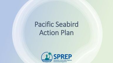 Pacific Seabird Action Plan