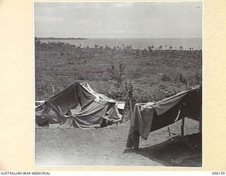 BRANDI, NEW GUINEA, 1945-09-07. THE GENERAL VIEW OVERLOOKING BRANDI TAKEN FROM C COMPANY, 35 INFANTRY BATTALION POSITION, ON THE BLOT