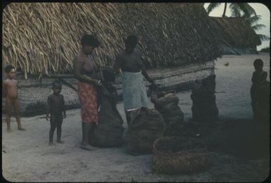 Two women and children packing coconuts into bags : Tasman Islands, Papua New Guinea, 1960 / Terence and Margaret Spencer