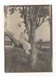 Woman sitting in a tree, c1900 to ?