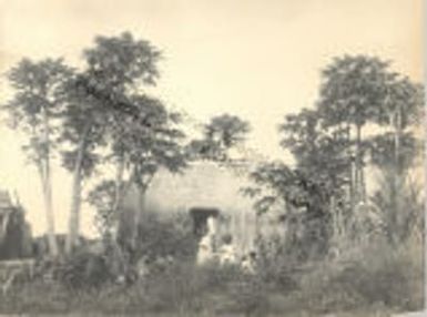 Rural hut in Hawaii