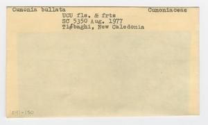 [Cunonia bullata in New Caledonia, envelope IE41-150]
