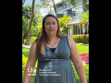 COP30: Meagan Gary at The Ocean Foundation on stronger commitments needed to cut carbon emissions