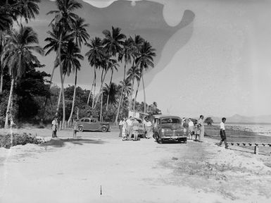 [View of palm trees, vehicles, and people]