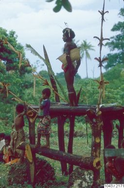 ["fotografi, photograph"]