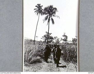 KAIAPIT, NEW GUINEA. 1943-09-25. TROOPS OF THE 2/14TH AUSTRALIAN INFANTRY BATTALION MOVING FROM THE AIRSTRIP TO THE CAMP AREA