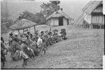 Pig festival, uprooting cordyline ritual, Tsembaga: men make stylized aggressive charge in front of government rest house, near clan boundary