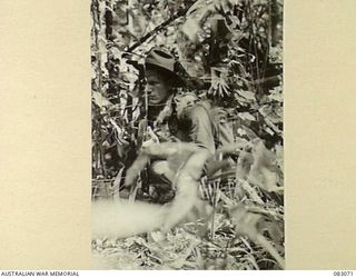 BABIANG, NEW GUINEA. 1944-11-07. TROOPER N.A. PURSCHE, 2/10 COMMANDO SQUADRON, PARTIALLY HIDDEN BY JUNGLE UNDERGROWTH, AT ONE OF THE MANY HALTS MADE DURING THE MOUNTAIN CLIMB BY THE PATROL