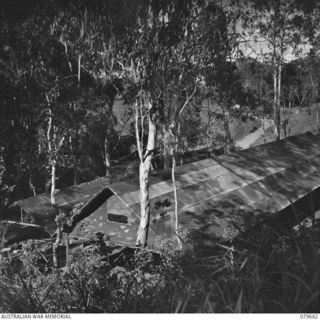 ORO BAY, NEW GUINEA. 1943-07. THE HOSPITAL WARDS AT THE MAIN DRESSING STATION, 10TH FIELD AMBULANCE, AUSTRALIAN ARMY MEDICAL CORPS. THESE SISALCRAFT AND BUSH TIMBER HUTS REPLACE FORMER TENT WARDS