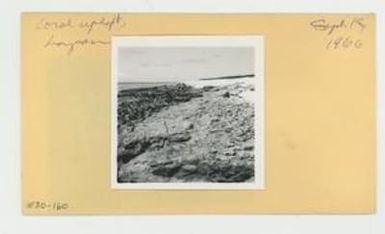 [Coral uplift in Hawaii, envelope IE30-160]