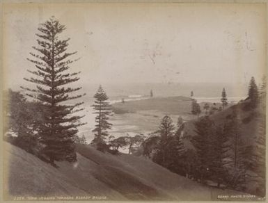 Norfolk Island and Fiji, approximately 1890 / Charles Kerry