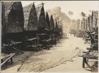 Scene in  Mailu Village, [sail on the ground between the rows of huts, Papua New Guinea]