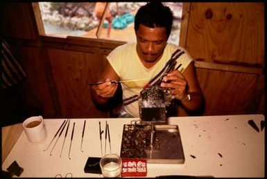 Tahitian technician Michel Yip implanting nucleus into an oyster, Manihiki, Cook Islands