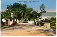 44. - Tahiti. - Papeete. - Rue du Maréchal-Foch