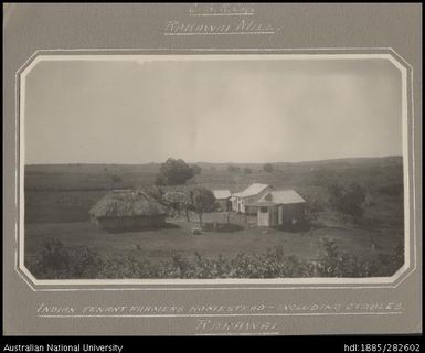 Rarawai Mill - Indian tenant farmer's homestead including stables