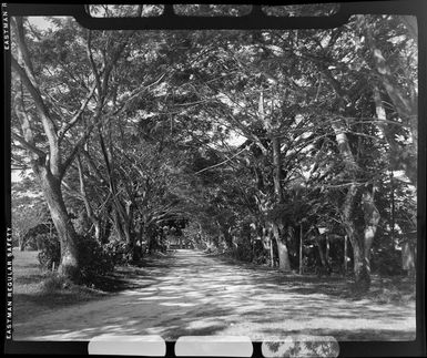 Avenue, Madang, Papua New Guinea