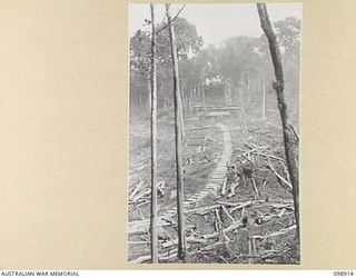 MASAMASA ISLAND, SOLOMON ISLANDS. 1945-11-14. A TERRACED PATH LEADING UP TO QUARTERS IN JAPANESE AREA 14. JAPANESE CONCENTRATED ON THE ISLAND ARE UNDER THE CONTROL OF 7 INFANTRY BATTALION