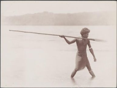 Man spear fishing at Roas Bay, Malaita, Solomon Islands, 1906 / J.W. Beattie