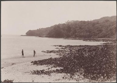 Two people on the beach of Lakona Bay, Santa Maria, Banks Islands, 1906 / J.W. Beattie