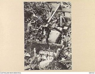 BOUGAINVILLE, SOLOMON ISLANDS. 1944-12-08. 5 AND 11 FIELD COMPANY, ROYAL AUSTRALIAN ENGINEERS TROOPS, WINCHING A BOGGED BULLDOZER TO A TREE AT ITS REAR. THE TREE SUBSEQUENTLY FELL ON THE DOZER ..