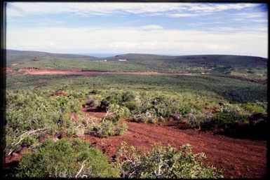 Shrubland near airfield