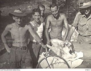 MALMAL VILLAGE, NEW BRITAIN. 1944-12-24. PERSONNEL OF HEADQUARTERS, 5TH DIVISION ADMIRING A LARGE TURKEY WHICH THE COOKS WILL PREPARE FOR THE UNIT CHRISTMAS DINNER. LEFT TO RIGHT ARE: PRIVATE S. A. ..