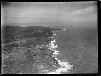 An aerial view of a coastal village amongst palm trees with forest beyond, American Samoa