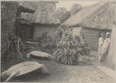 Piles of food for a Fijian feast, Fiji, approximately 1895