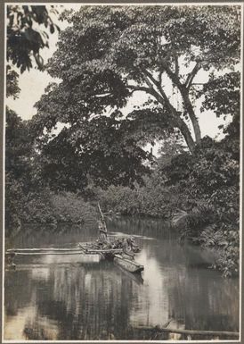 Scenes around Cape Nelson, [3] / Frank Hurley