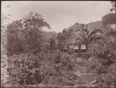 The village at Lakona, Santa Maria, Banks Islands, 1906 / J.W. Beattie