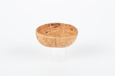 top, coconut shell