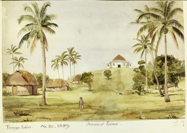 Lister Family :Tonga-tabu. Ap. 22 1889. Cocoanut palms.