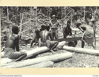 LAE, NEW GUINEA. 1944-03-25. Q42379 CORPORAL CHRISTENSEN, AUSTRALIAN NEW GUINEA ADMINISTRATIVE UNIT SUPERVISING NEW GUINEA NATIVE BOYS CUTTING BRIDGE TIMBER IN THE JUNGLE NEAR THE NATIVE COMPOUND