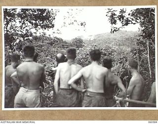 SATTELBERG AREA, NEW GUINEA. 1943-11-15. TROOPS OF C COMPANY, 2/24TH AUSTRALIAN INFANTRY BATTALION WATCHING THE ARTILLERY SHELLING JAPANESE POSITIONS ON THE WESTERN SIDE OF SATTELBERG