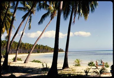 Beach in Fiji, 1971