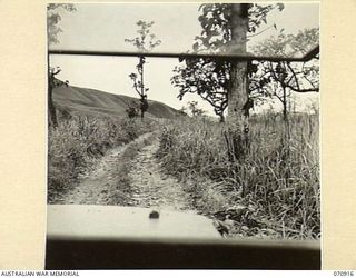 WAU - LAE ROAD, NEW GUINEA, 1944-02-26. A BUSH TRACK ABOUT 40 MILES FROM WAU THROUGH HIGH GRASS, FOLLOWING THE COURSE OF THE SNAKE RIVER IN THE BED OF THE VALLEY. THIS IS A TEMPORARY TRACK RUNNING ..