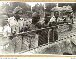 SYDNEY, NSW. 1944-01-26. AUSTRALIAN AND NEW GUINEA ADMINISTRATION UNIT NATIVES WATCHING THE LIONS AT THE TARONGA PARK ZOO