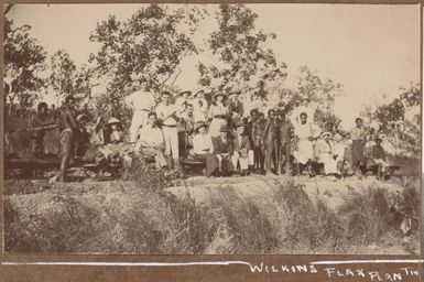 Wilkins Flax Plantation, Papua New Guinea, 1914