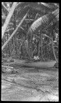 Canoe on Butaritari, Kiribati