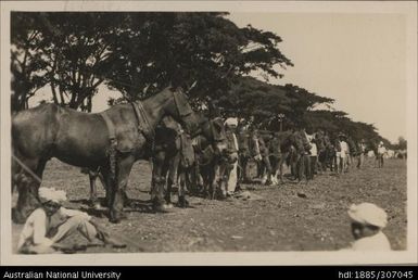 Lautoka Indian Agricultural Show