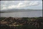 Gathering of shells and wood